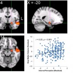 brain music emotions studies